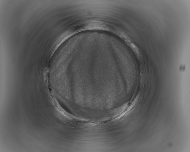 X0000096631369200802261154