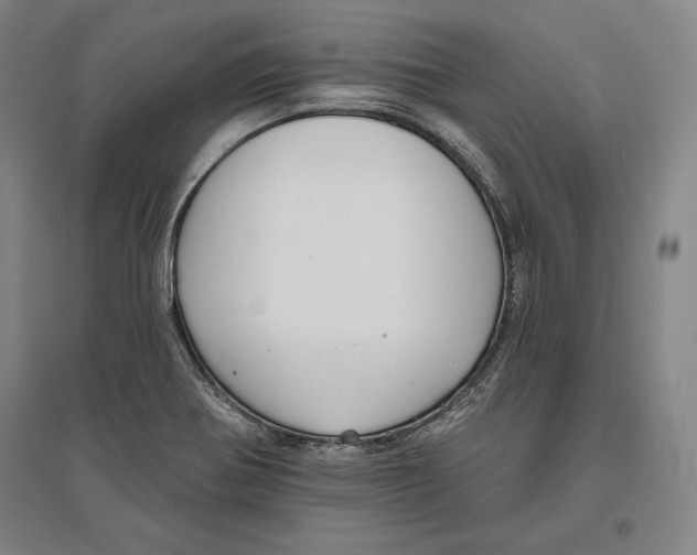X0000096631370200802261154