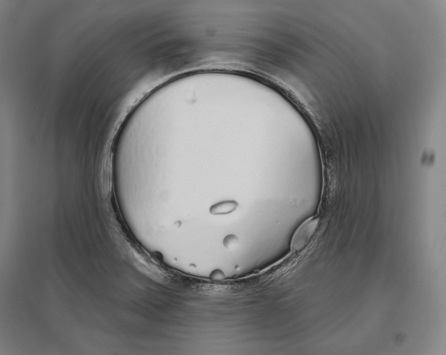 X0000096631371200802261154