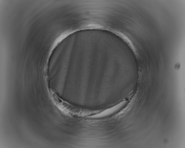X0000096631373200802261154