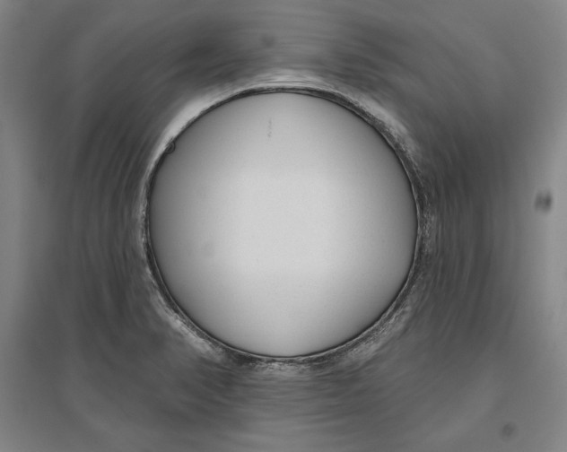 X0000096631374200802261154