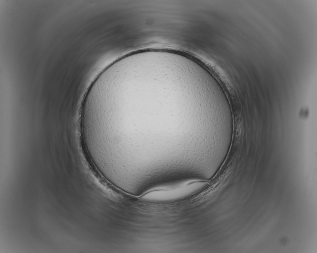 X0000096631375200802261154