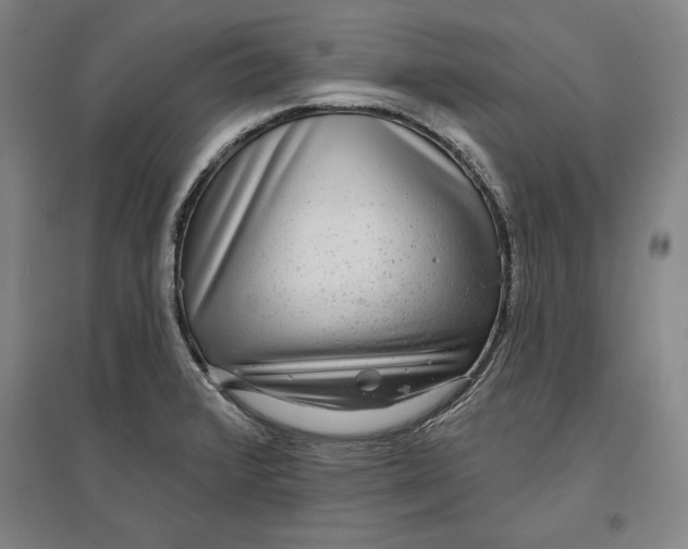 X0000096631376200802261154