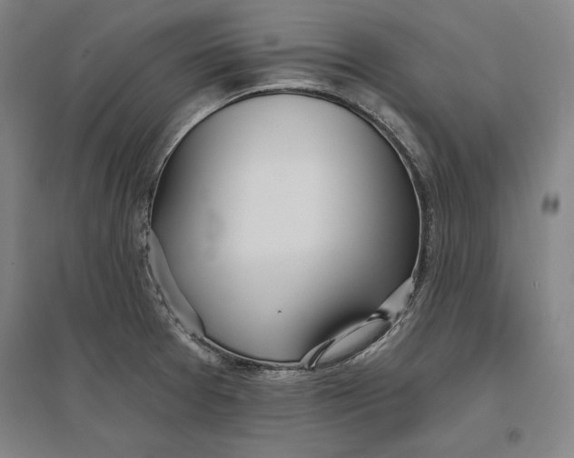 X0000096631377200802261154