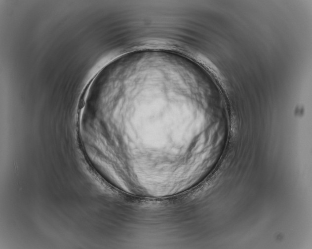 X0000096631378200802261154