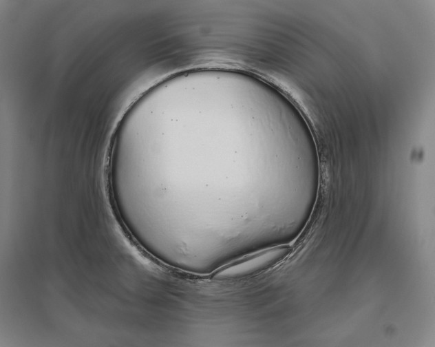 X0000096631379200802261154