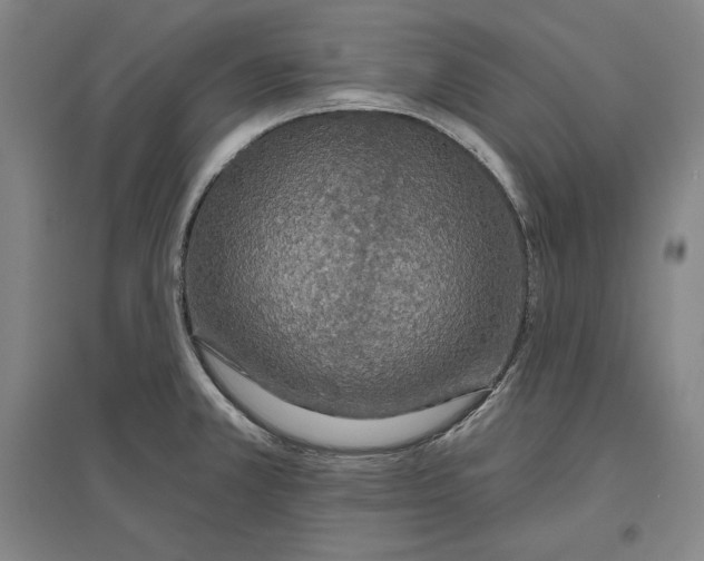 X0000096631381200802261154