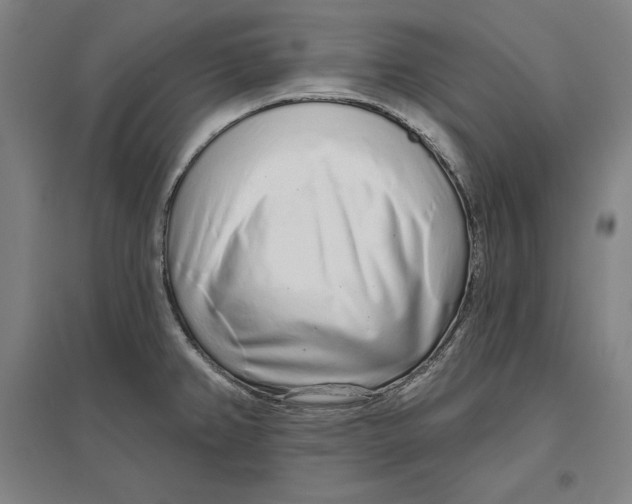 X0000096631382200802261154