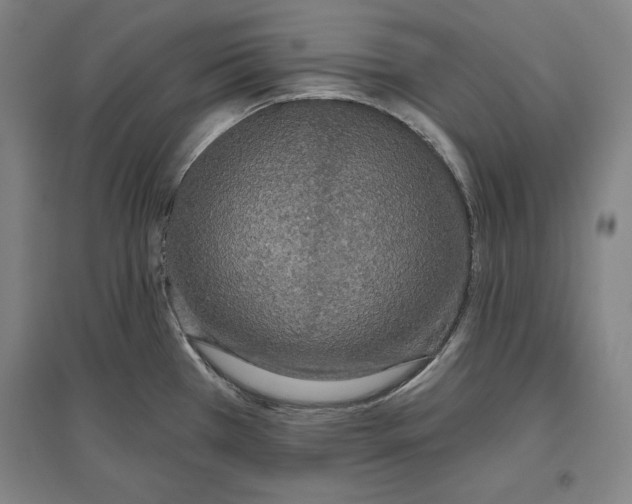 X0000096631385200802261154