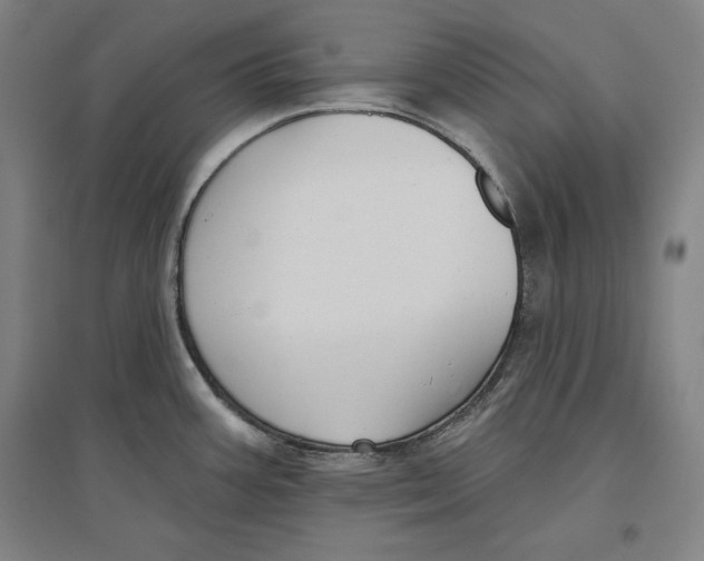 X0000096631387200802261154
