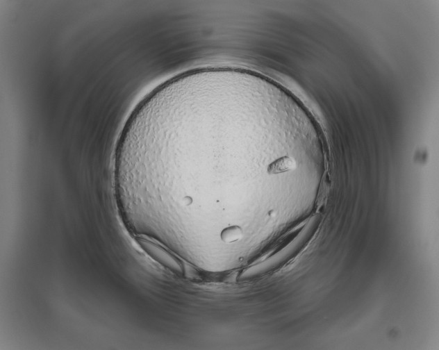 X0000096631388200802261154
