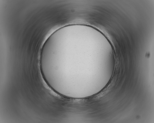 X0000096631390200802261154