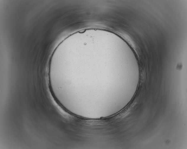 X0000096631391200802261154