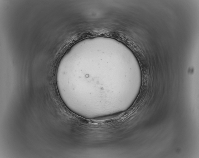 X0000096631393200802261153