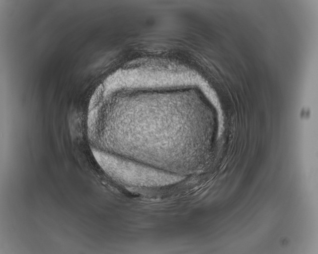 X0000096631394200802261153
