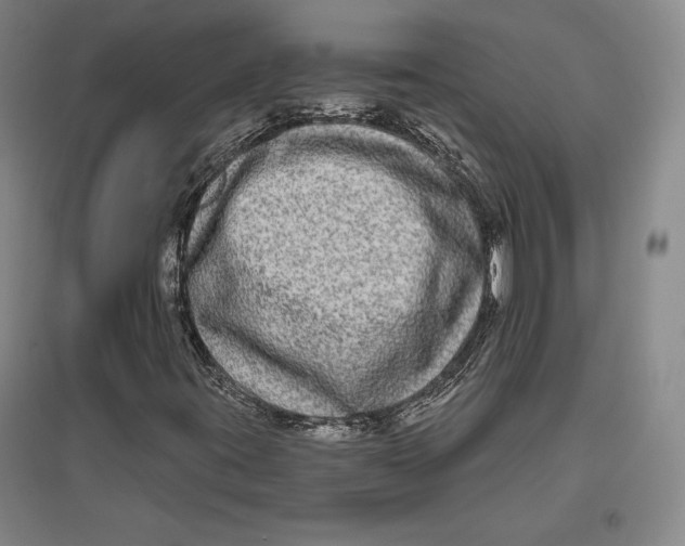 X0000096631395200802261153