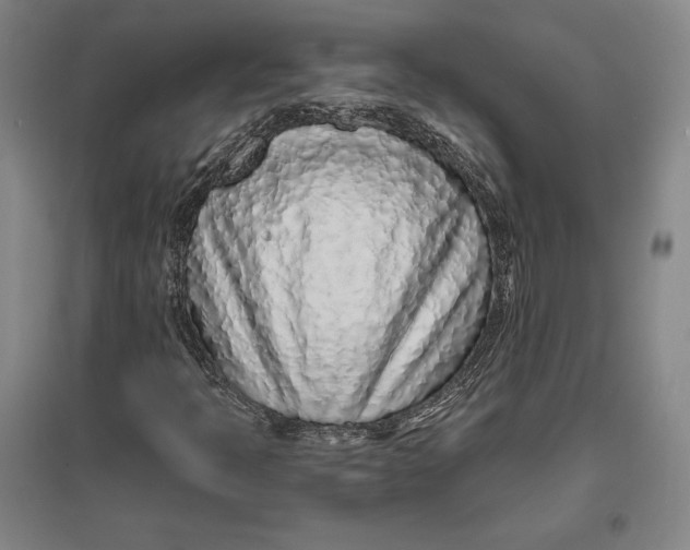 X0000096631397200802261153