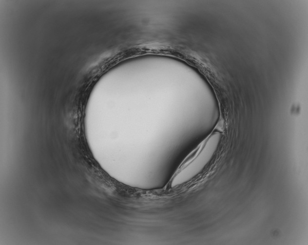 X0000096631398200802261153