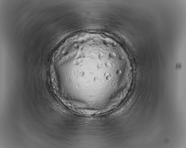 X0000096631401200802261154