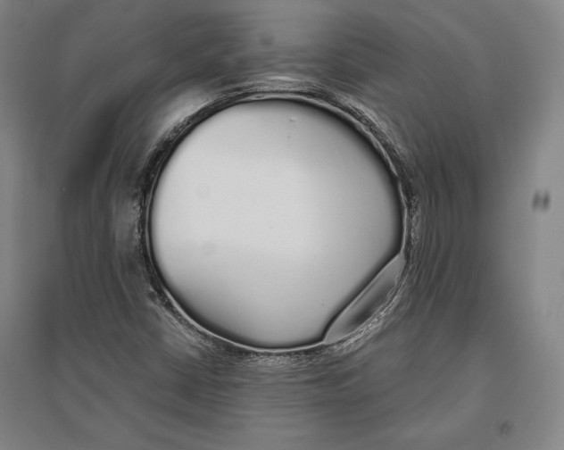 X0000096631402200802261154