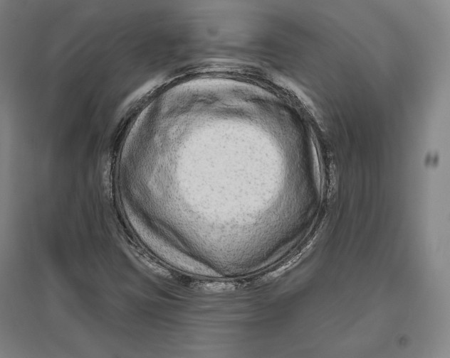 X0000096631403200802261154