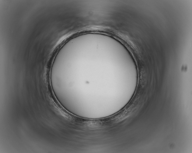 X0000096631404200802261154