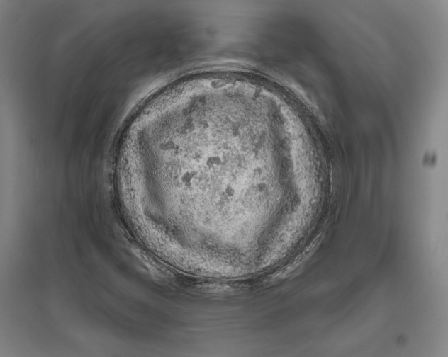 X0000096631405200802261154