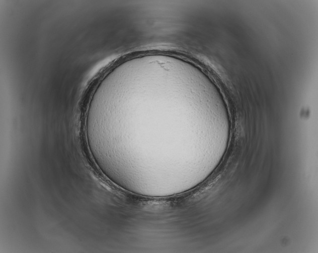 X0000096631406200802261154