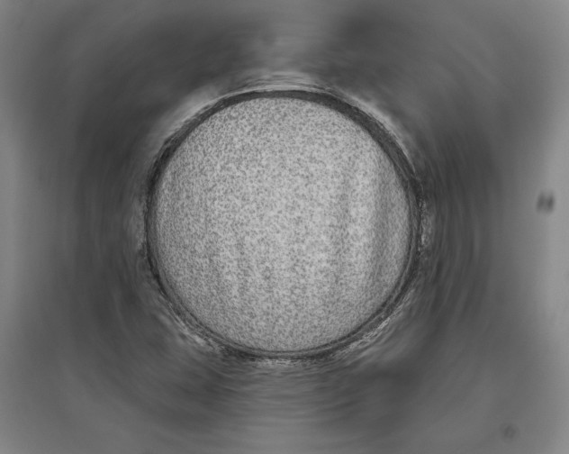 X0000096631407200802261154