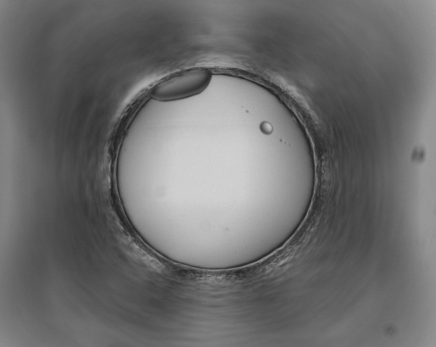 X0000096631408200802261154