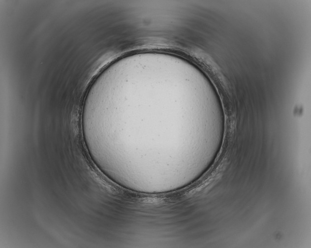 X0000096631409200802261154