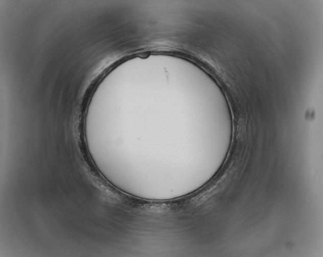 X0000096631410200802261154