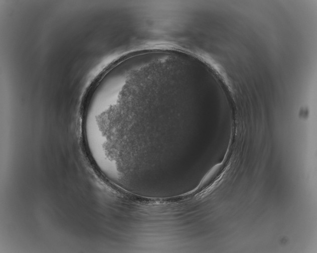X0000096631414200802261154