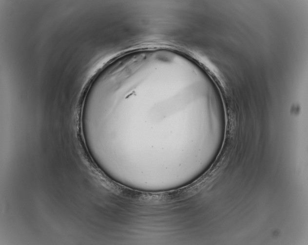 X0000096631415200802261154