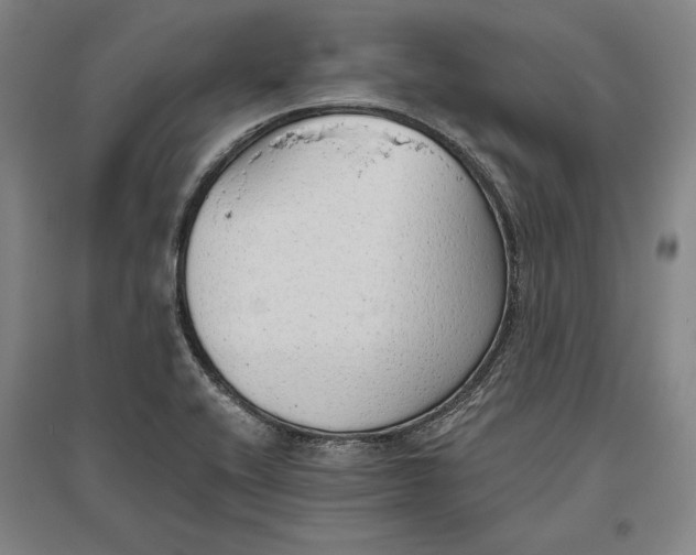 X0000096631416200802261154