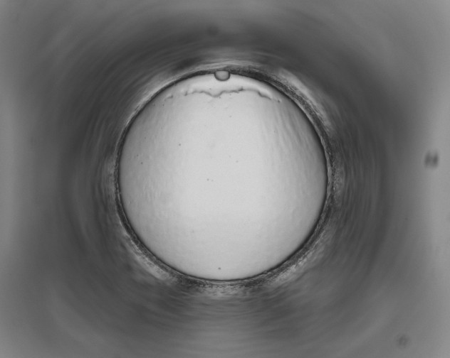X0000096631417200802261154