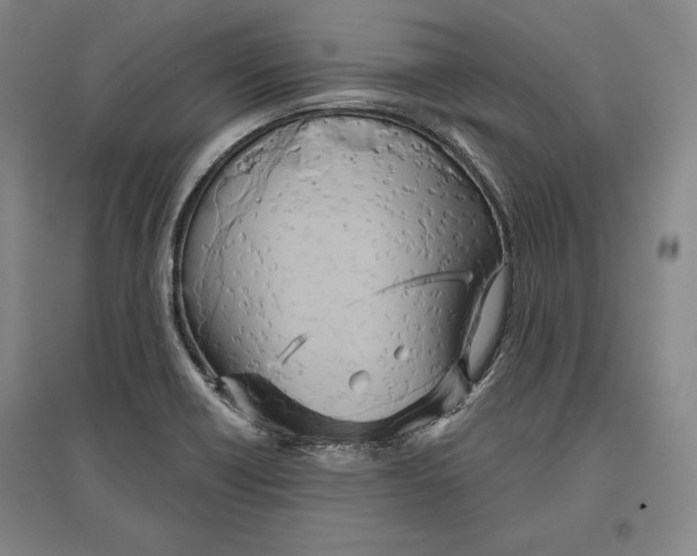 X0000096631418200802261154