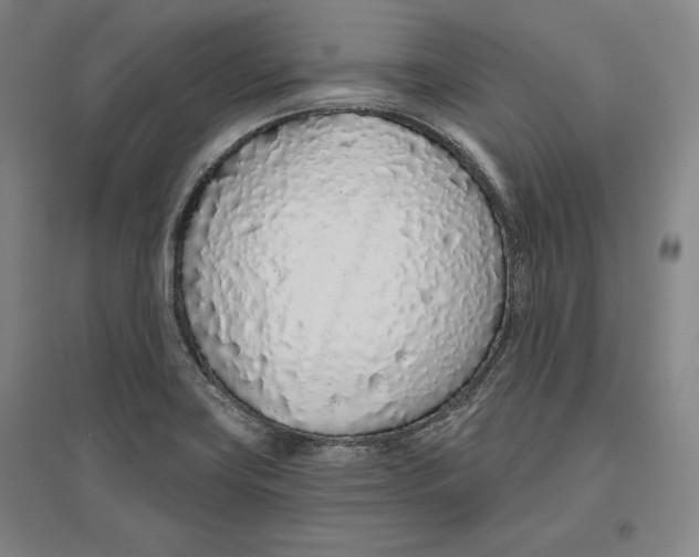 X0000096631419200802261154