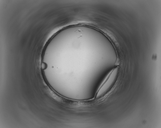 X0000096631420200802261154