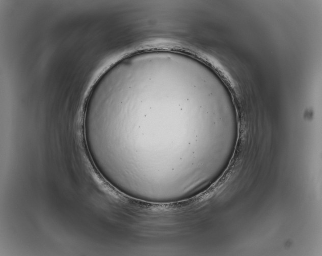 X0000096631421200802261154