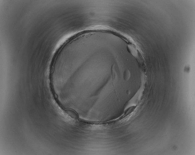 X0000096631422200802261154