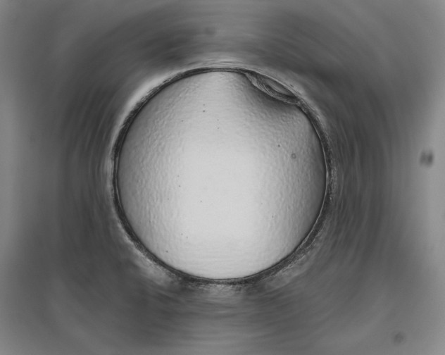 X0000096631424200802261154