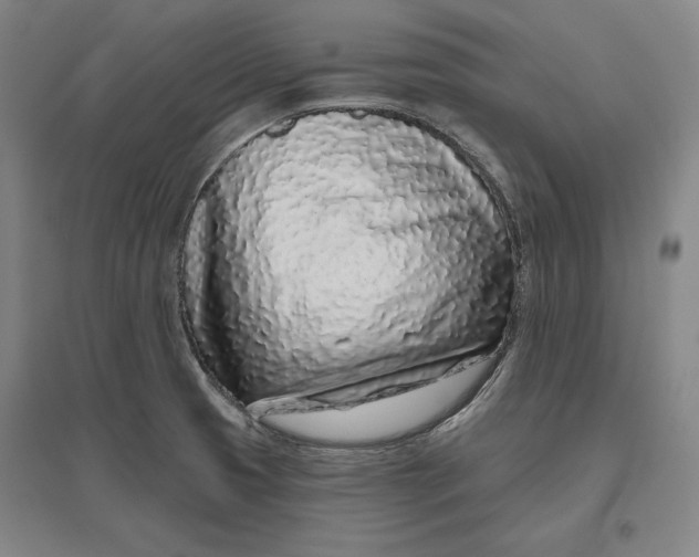 X0000096631425200802261154