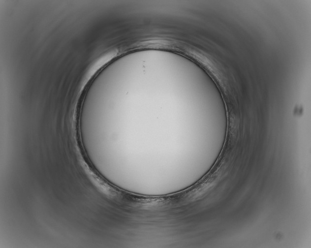 X0000096631426200802261154