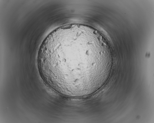 X0000096631427200802261154