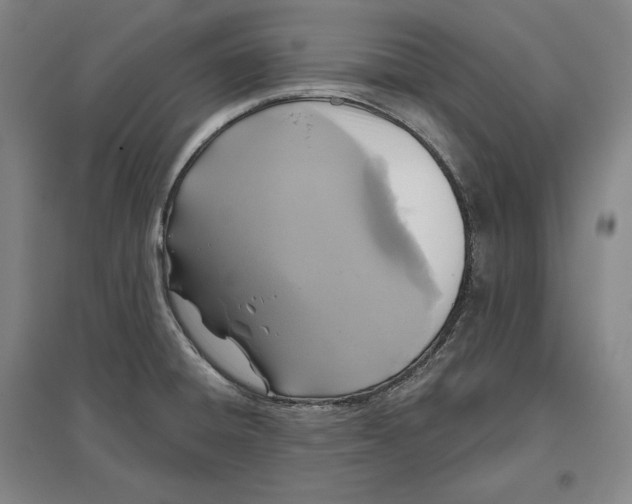 X0000096631428200802261154