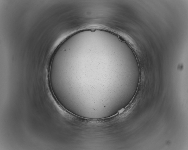 X0000096631430200802261154