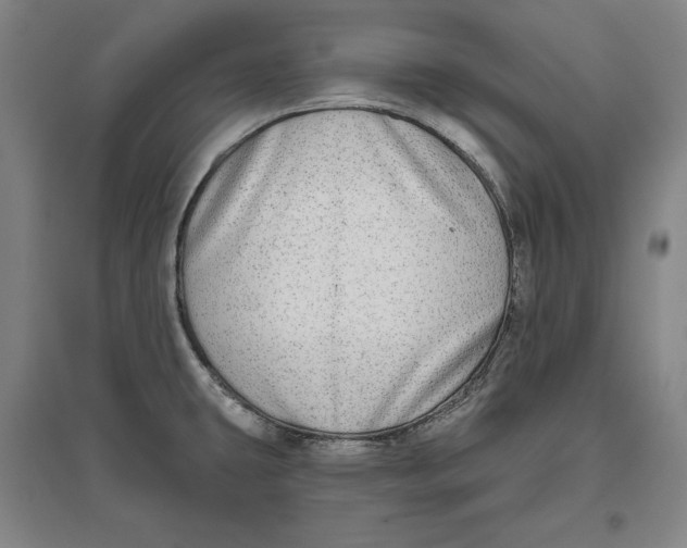 X0000096631431200802261154