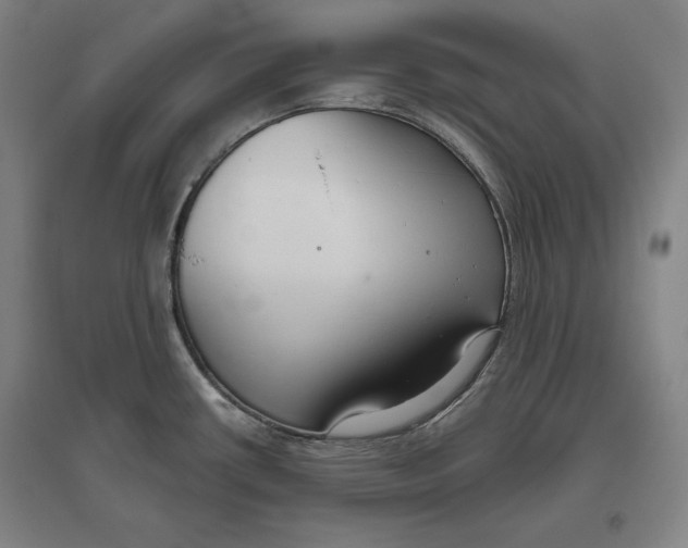 X0000096631434200802261154