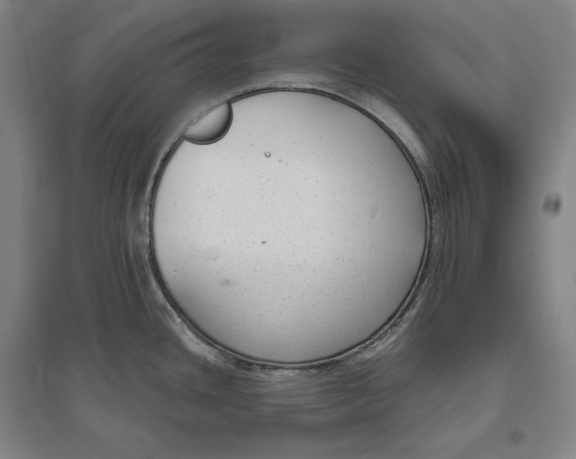 X0000096631436200802261154
